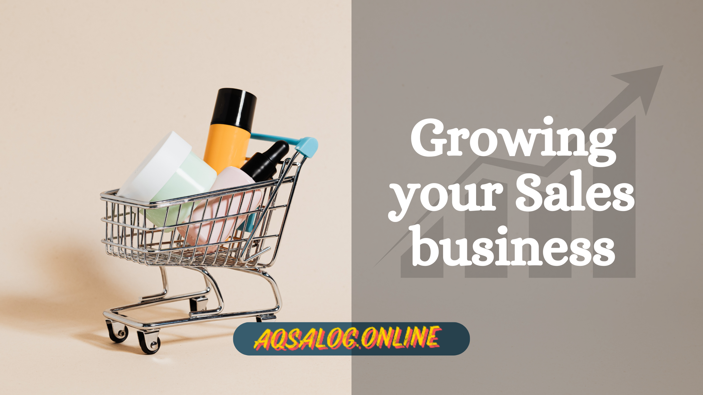 Growing your Sales business faster with advanced ideas